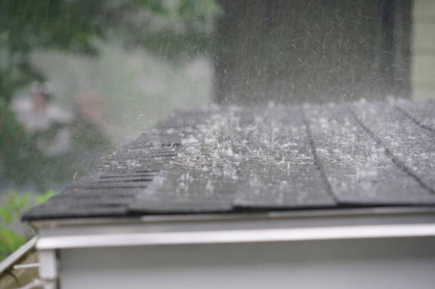 Best Green or Eco-Friendly Roofing Solutions  in Glespie, IL