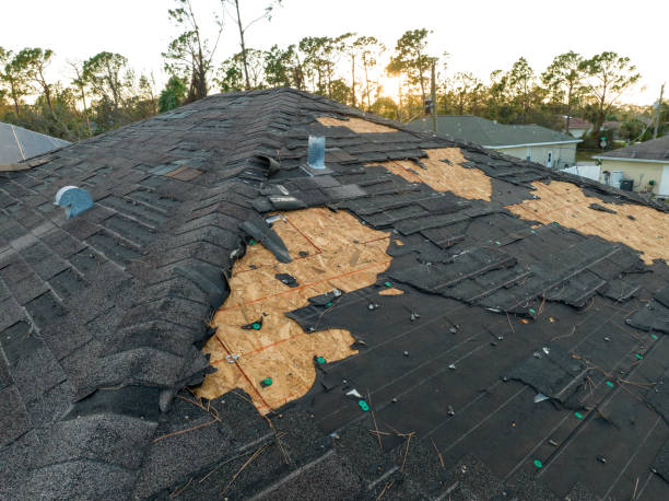 Best Metal Roofing Installation  in Glespie, IL