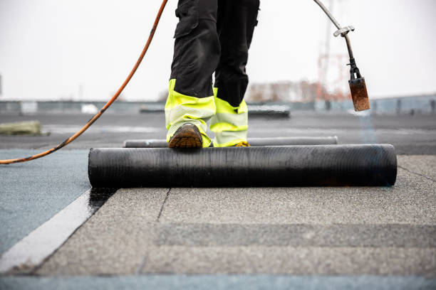 Best Roof Coating and Sealing  in Glespie, IL