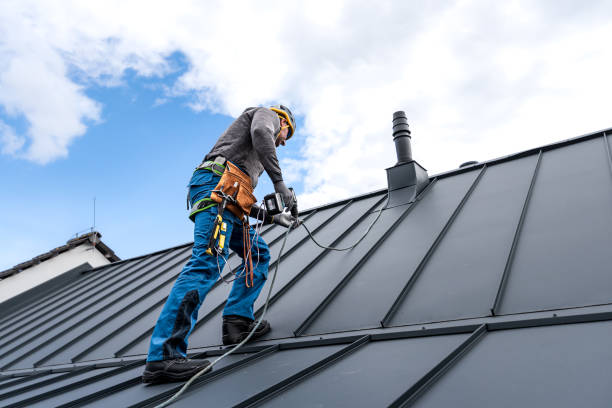 Best Roof Ventilation Installation  in Glespie, IL